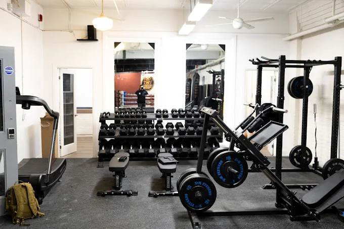 Black Lion Strength Training Area