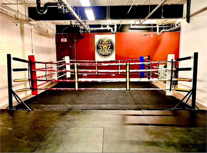 Black Lion Boxing Ring Toronto